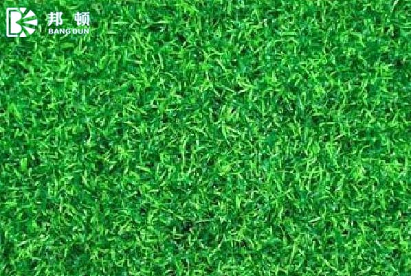陜西塑膠跑道_陜西人工草坪_陜西硅PU價格_陜西丙烯酸材料廠家|陜西邦頓新材料科技有限公司